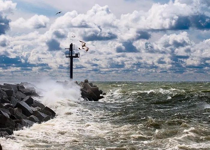 Tako Baras Klaipėda