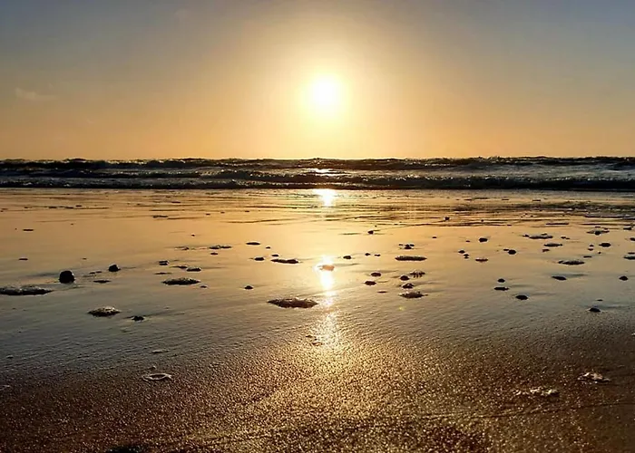 Tako Baras 3* Klaipėda